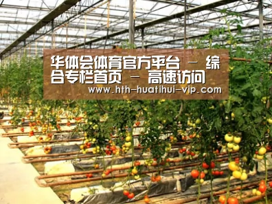 种植基地二(图1)