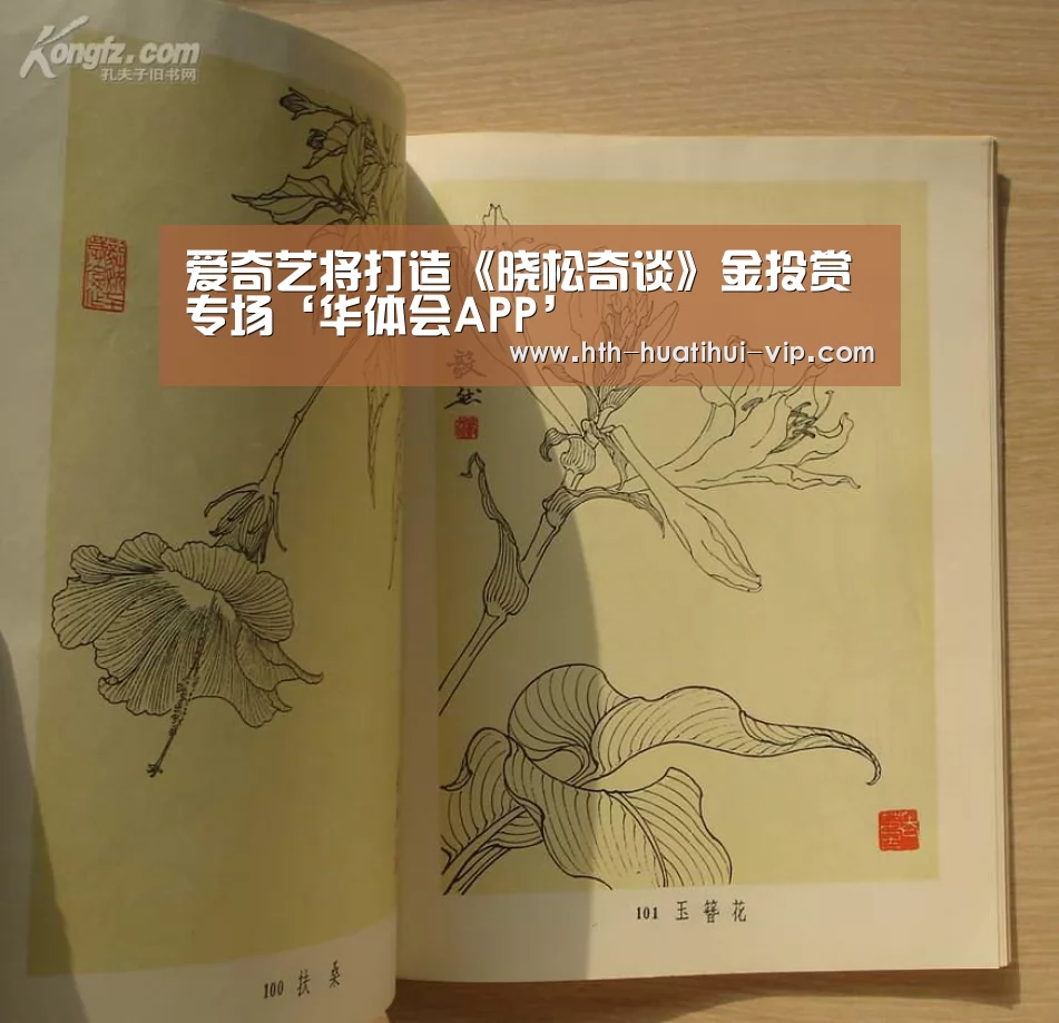 爱奇艺将打造《晓松奇谈》金投赏专场‘华体会APP’(图1) 华体会APP