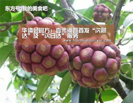 华体会官方:壹米滴答首发“次晨达”及“次日达”服务(图2) 华体会官方