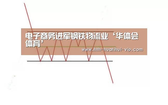 电子商务进军钢铁物流业‘华体会体育’(图1) 华体会官方