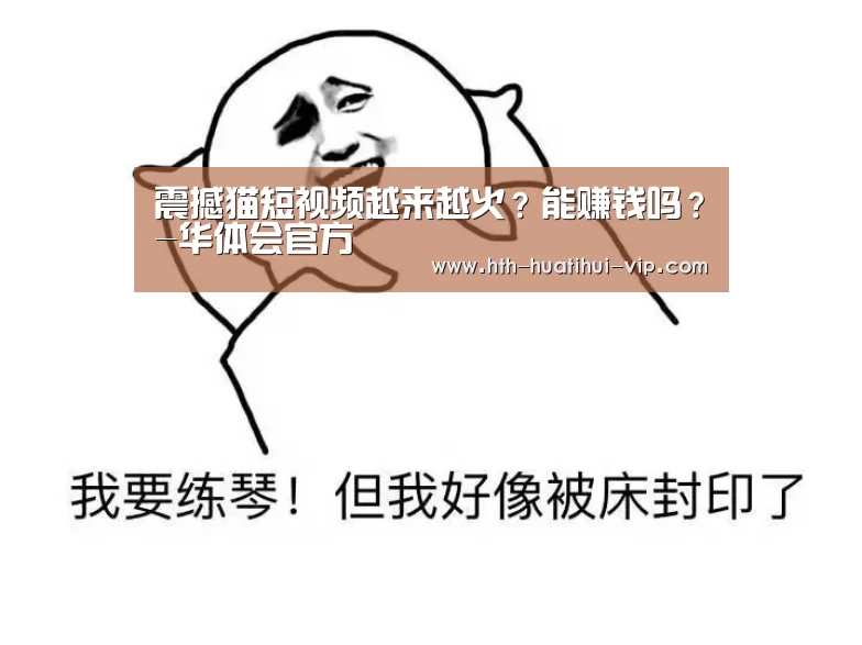 华体会APP