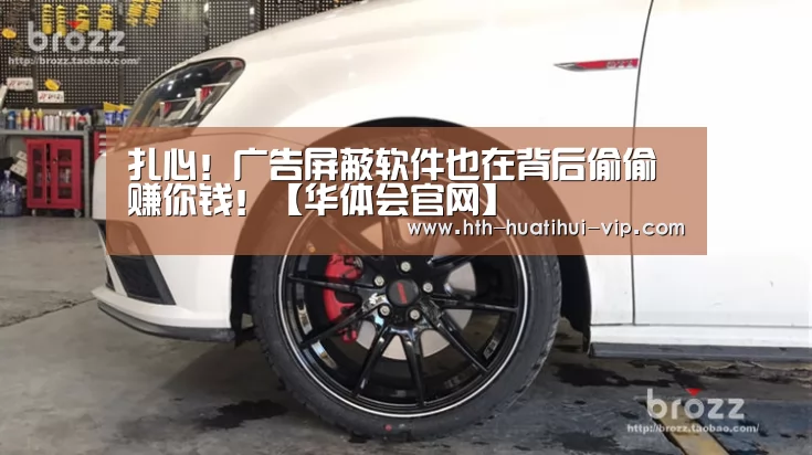 扎心!广告屏蔽软件也在背后偷偷赚你钱!【华体会官网】(图2) 华体会APP