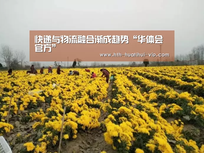 快递与物流融合渐成趋势“华体会官方”(图4) 华体会官网