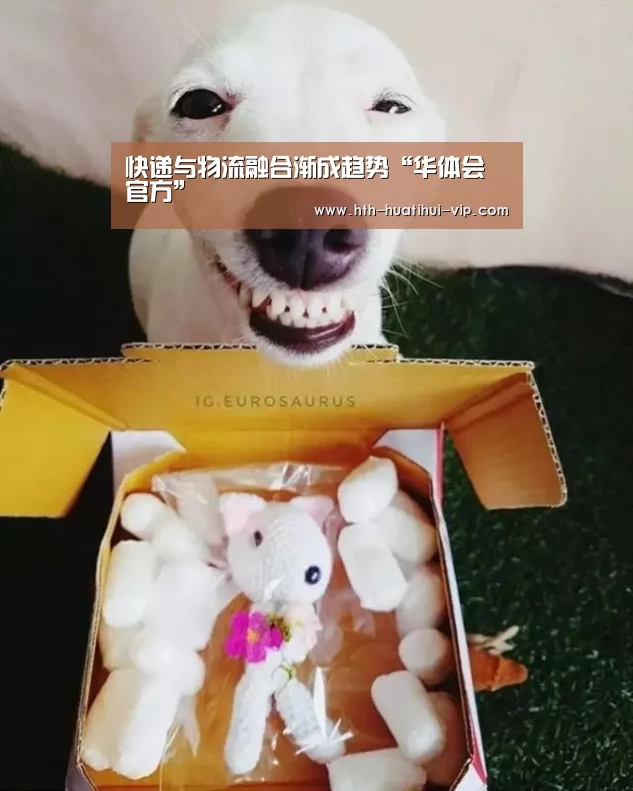 快递与物流融合渐成趋势“华体会官方”(图3) 华体会官方