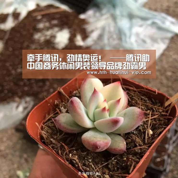 牵手腾讯,劲情奥运! ——腾讯助中国商务休闲男装领导品牌劲霸男装开启新媒体整合营销传播:华体会APP(图2) 华体会体育