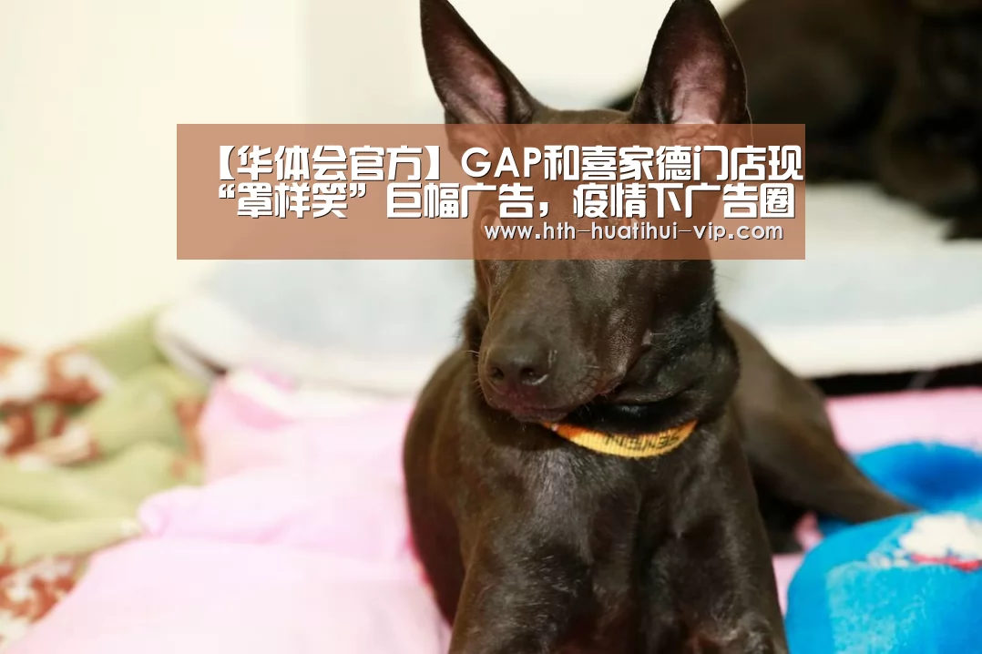 【华体会官方】GAP和喜家德门店现“罩样笑”巨幅广告,疫情下广告圈在做什么?(图1) 华体会官方