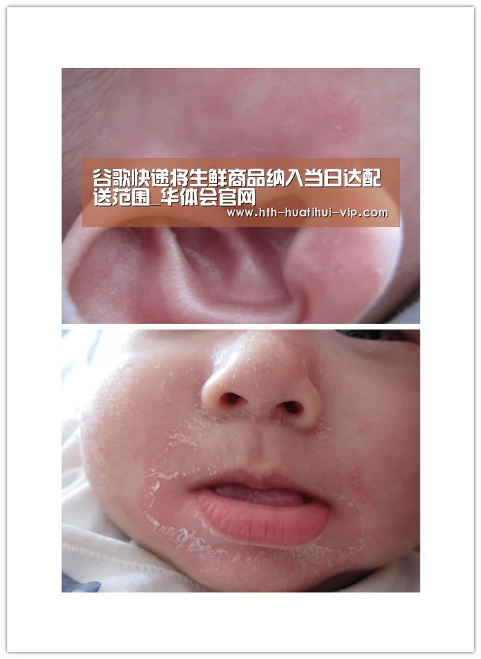 谷歌快递将生鲜商品纳入当日达配送范围_华体会官网(图3) 华体会体育