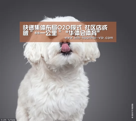 快递集体布局O2O模式 社区店或破"**一公里"“华体会体育”(图1) 华体会体育