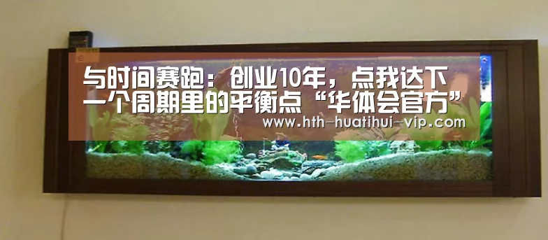 与时间赛跑:创业10年,点我达下一个周期里的平衡点“华体会官方”(图1) 华体会体育